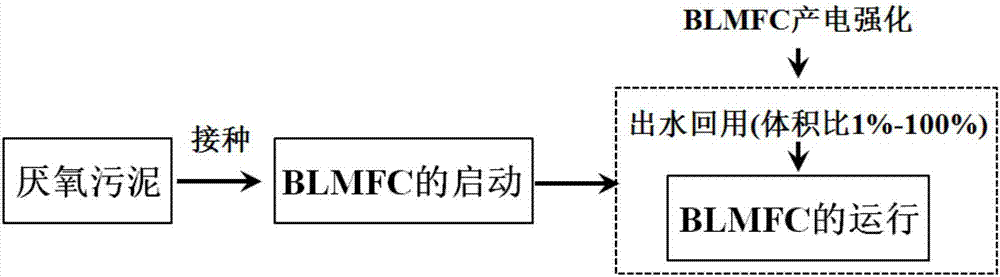 Method for improving power generation performance of buffer-less microbial fuel cell (BLMFC)