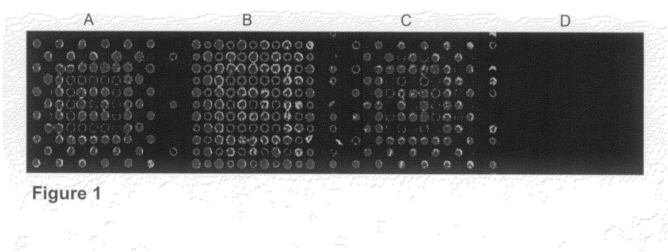 RNA sequences generated using a microarray having a base cleavable succinate linker