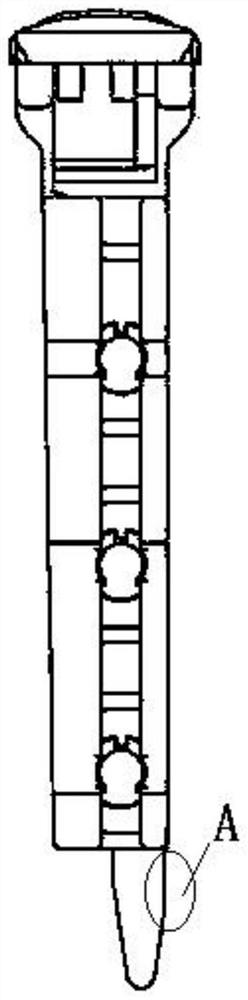 A cat coronavirus integrated nucleic acid detection cartridge