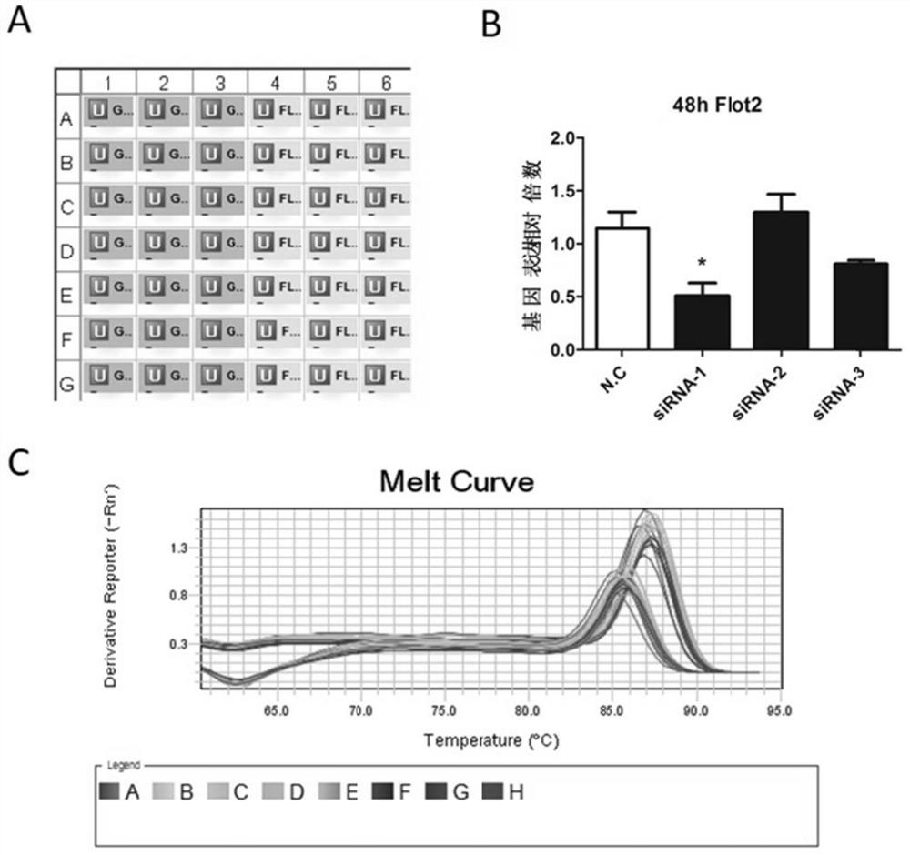 Use of flot2 inhibitors to inhibit osteoclastogenesis and/or osteoclastic activity