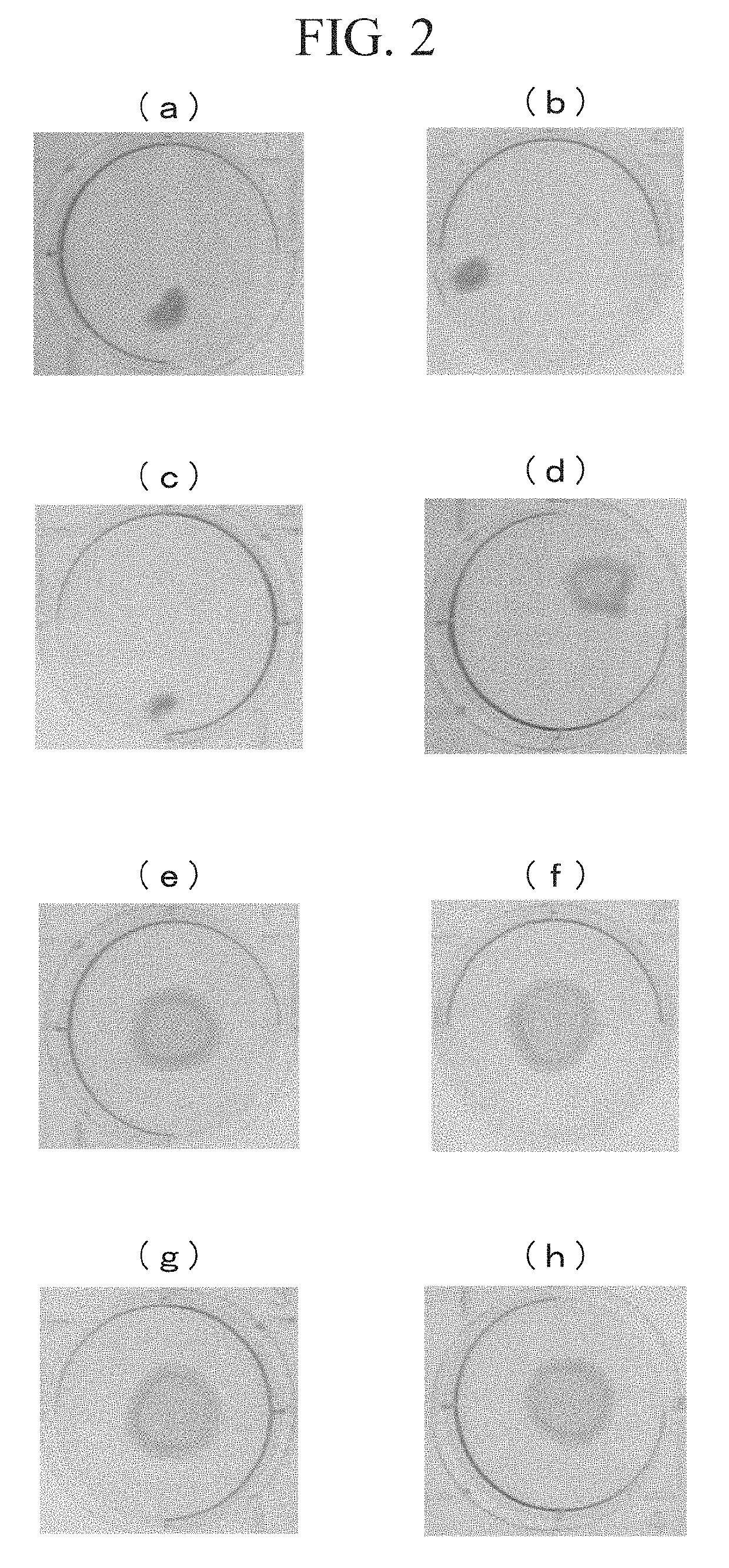 Therapeutic agent for periodontitis and compostion for treating periodontitis