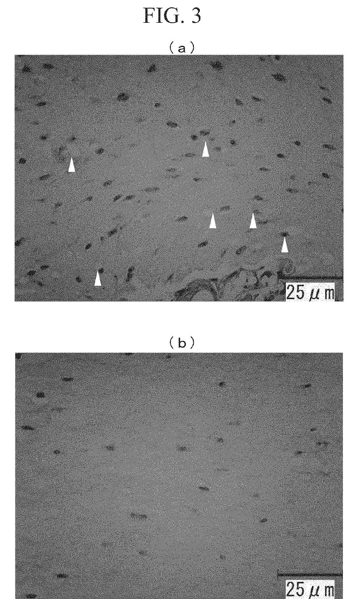 Therapeutic agent for periodontitis and compostion for treating periodontitis