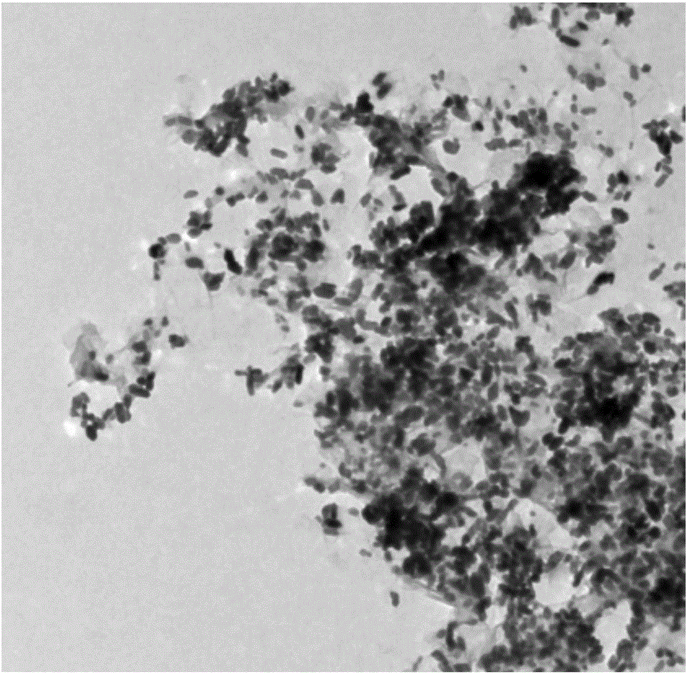 Zinc tungstate/graphene composite material and preparation method and application thereof