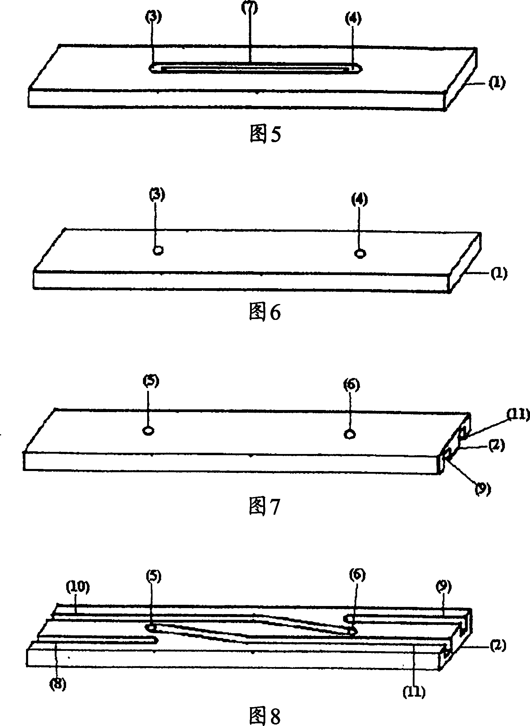 Extendible, elastic document fastener