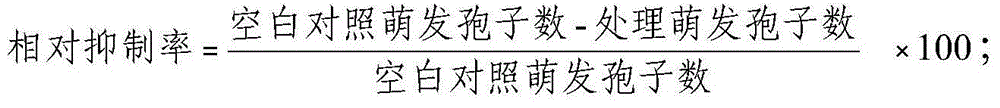 Plant protective agent and preparation method thereof