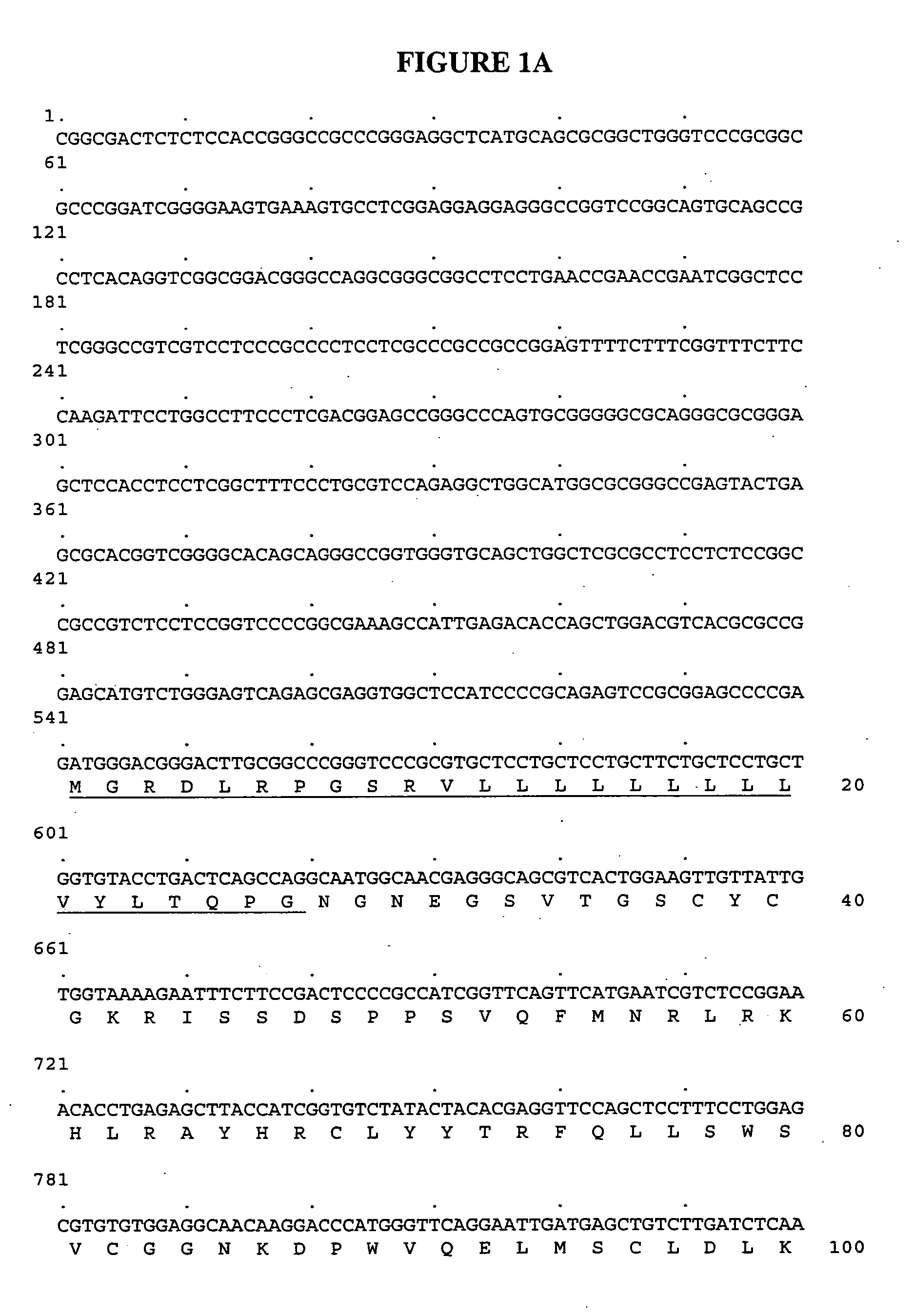 Antibodies to Chemokine Alpha-5