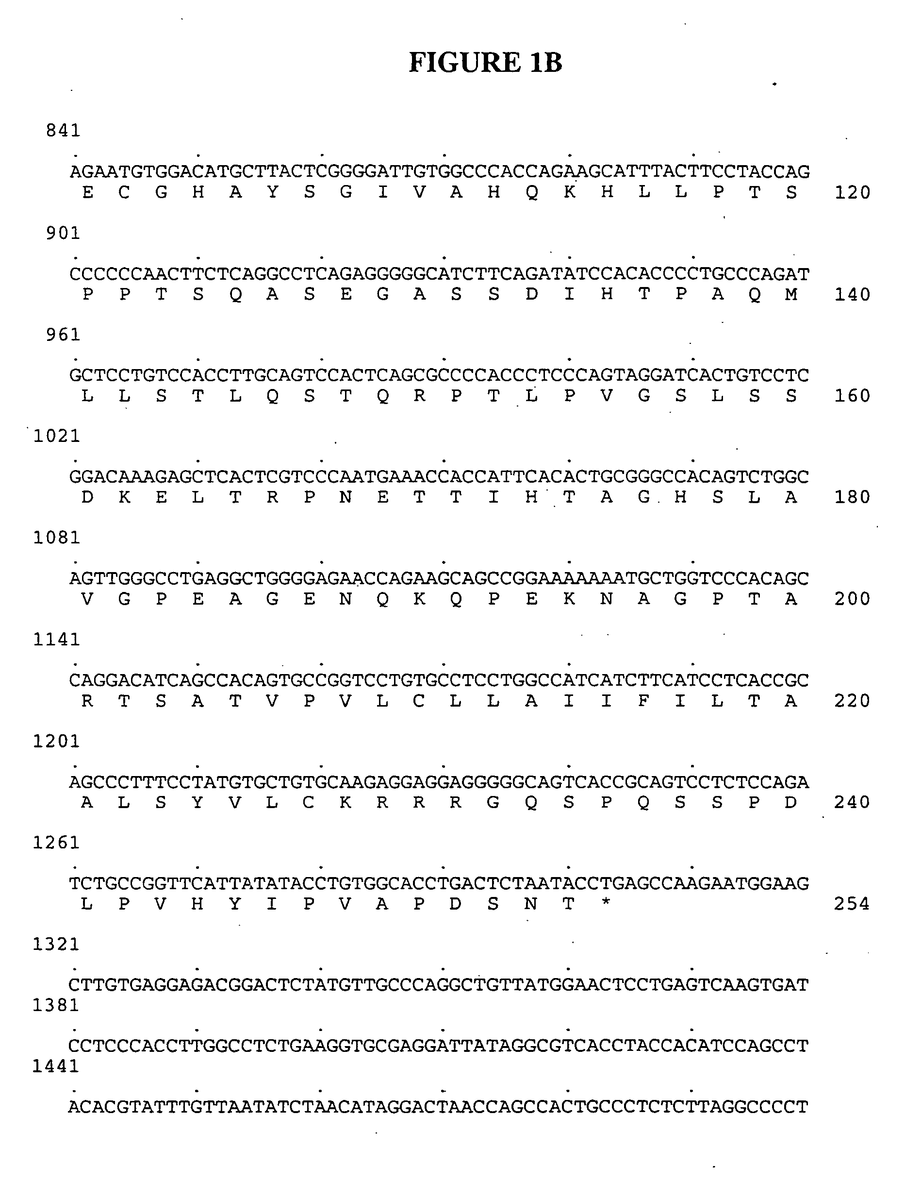 Antibodies to Chemokine Alpha-5