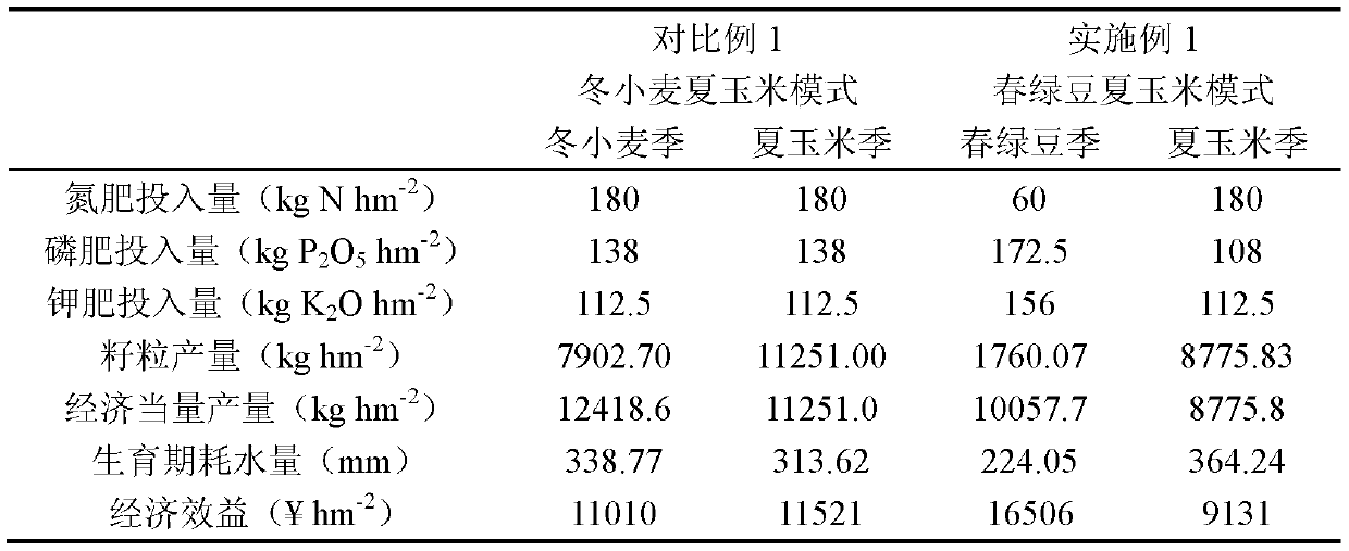 Water-saving and high-income crop rotation method for spring mung beans and summer corns in North China