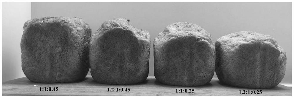 Low-GI oat fructose bread and preparation method thereof