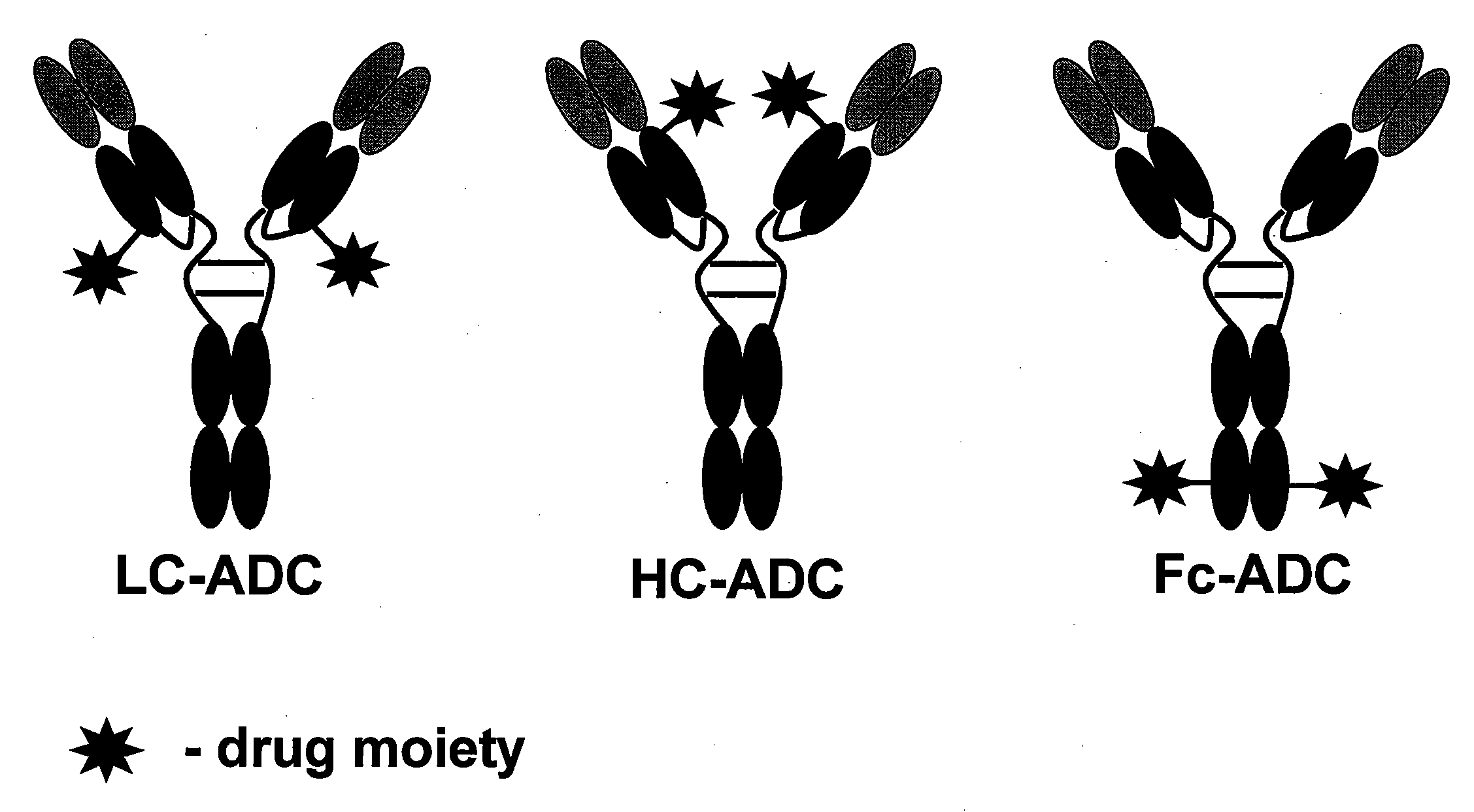 Cysteine engineered Anti-muc16 antibodies and antibody drug conjugates