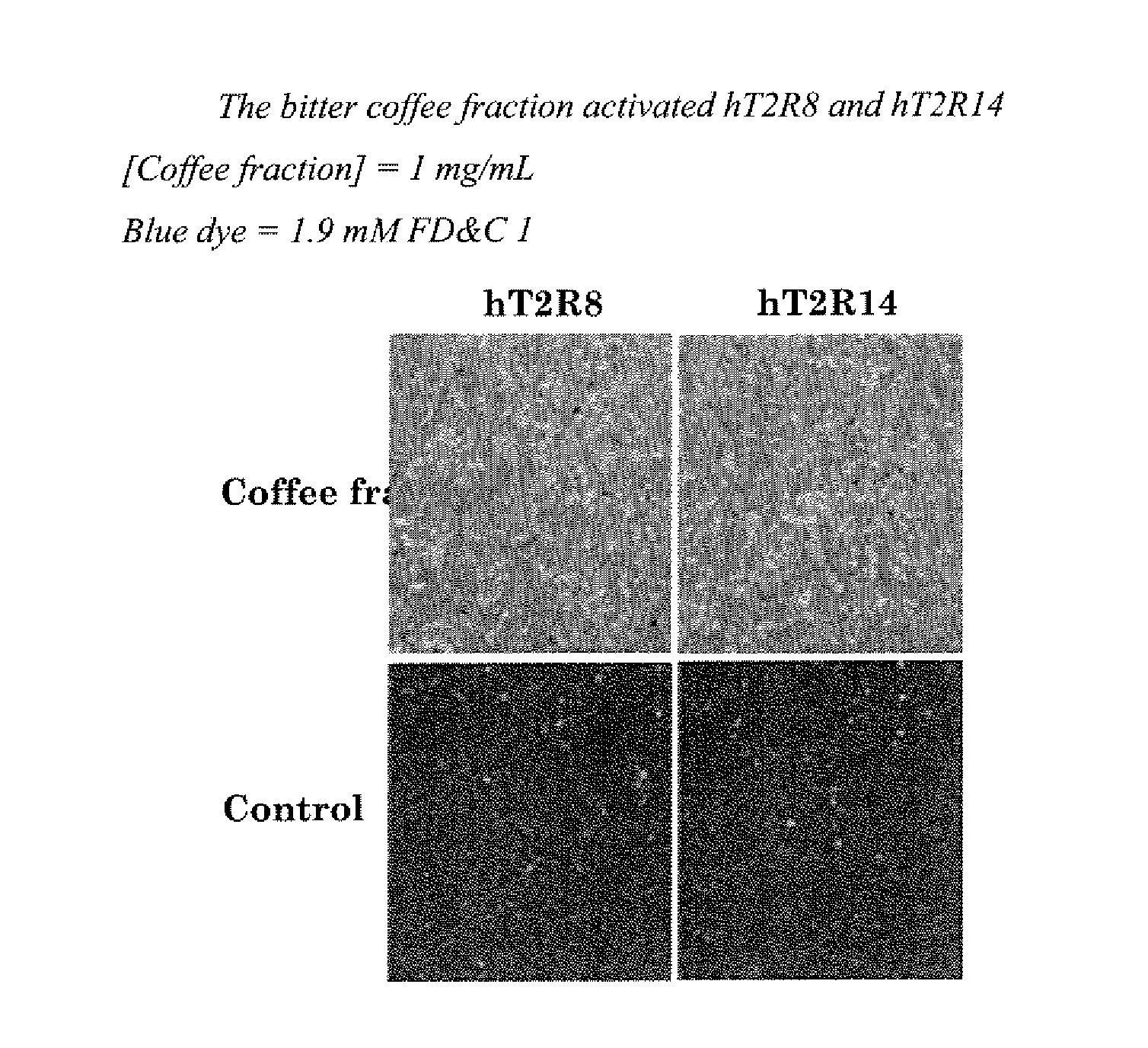 Compounds that inhibit (BLOCK) bitter taste in composition and use thereof