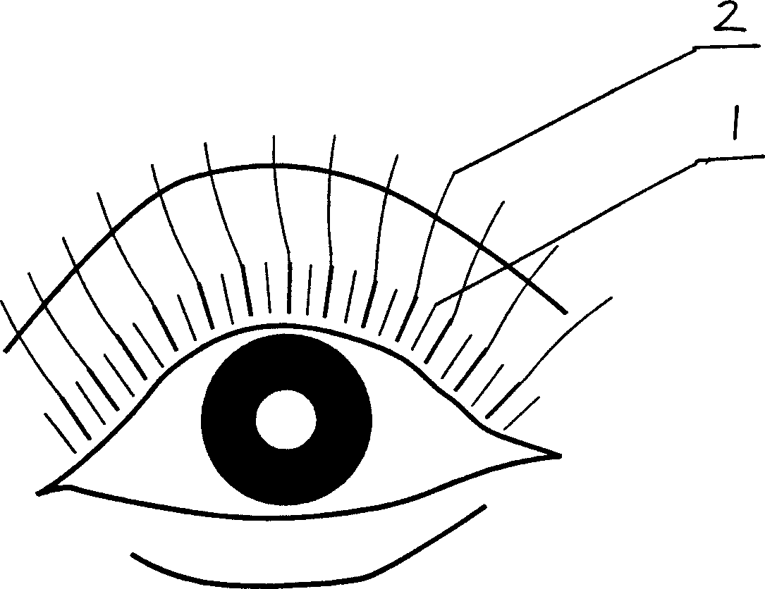 Eyelash beauty treatment method