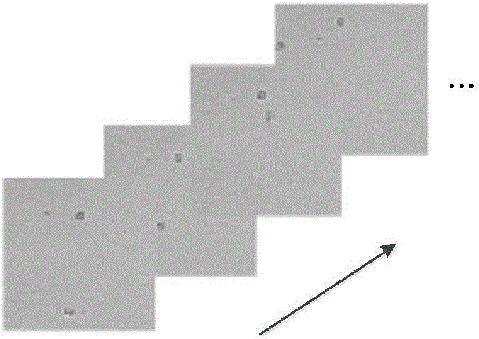 Fireworks algorithm-based multi-cell tracking method
