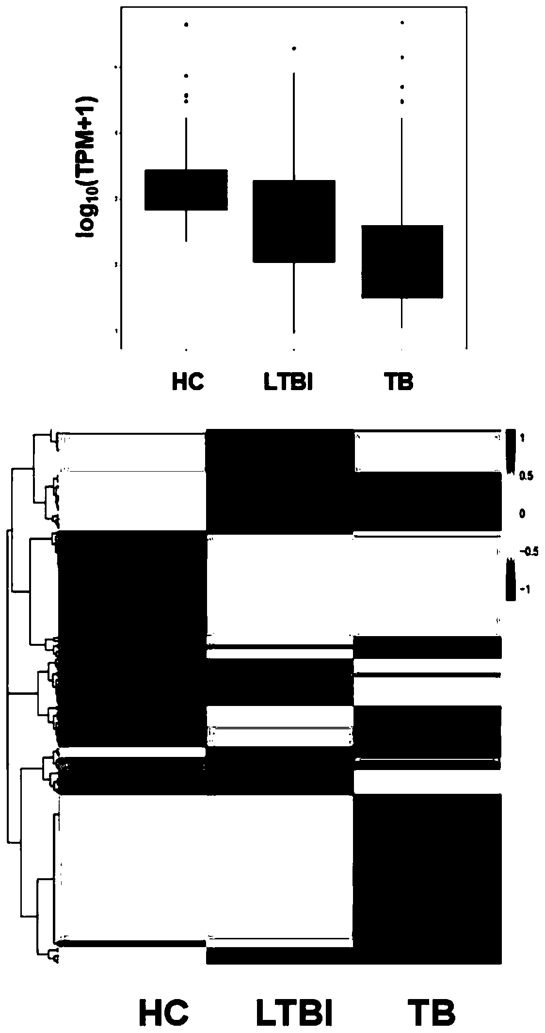miRNA marker for assistant diagnosis of tuberculosis and application thereof