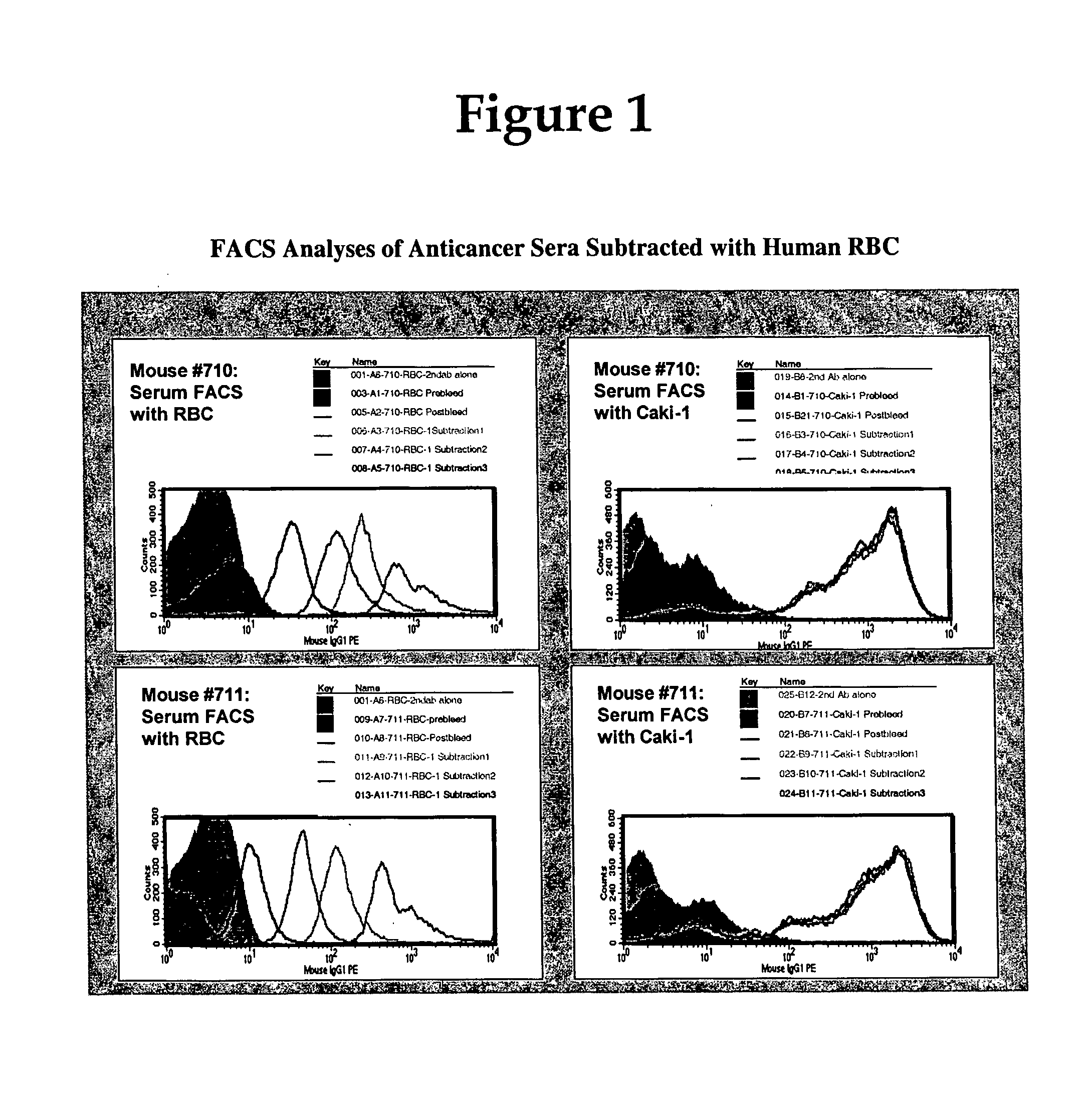 Methods for Discovering Antibodies Specific to Cancer Cells and Antibodies Discovered Thereby