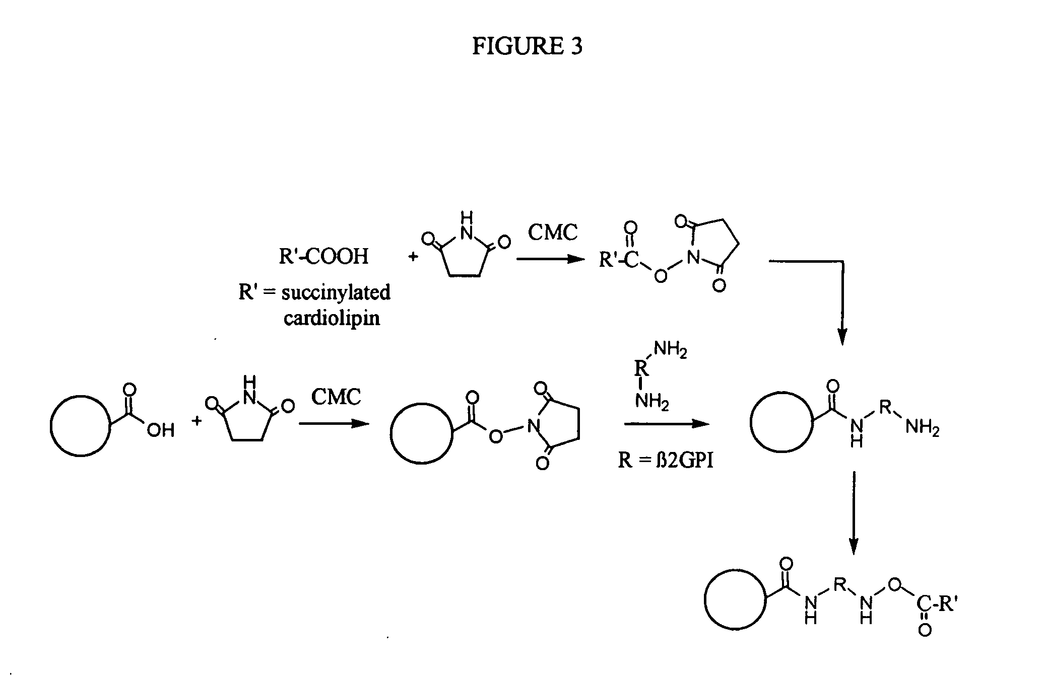 Solid phase immobilization of phospholipids and cofactor proteins via covalent attachment