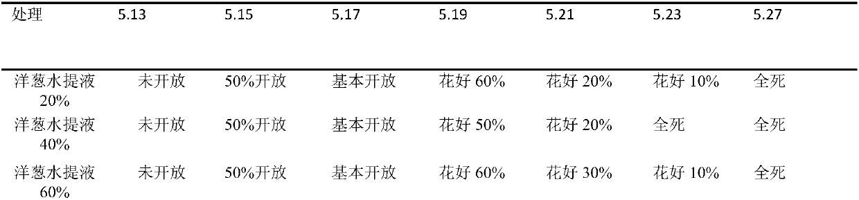 Preparation process of cut carnation flower preservation reagent for onion extracting solution