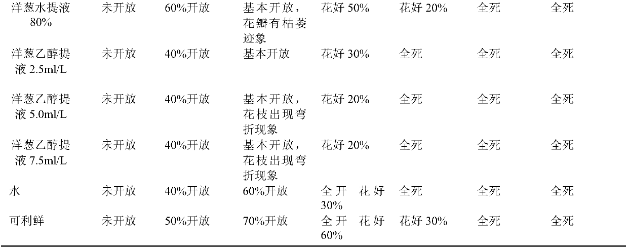 Preparation process of cut carnation flower preservation reagent for onion extracting solution