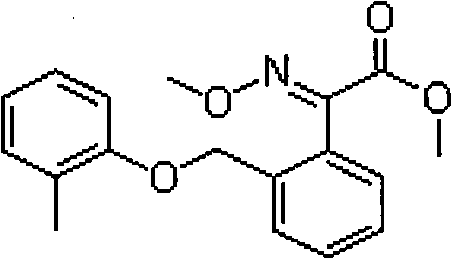 Sterilization composite containing methyl and cymoxanil