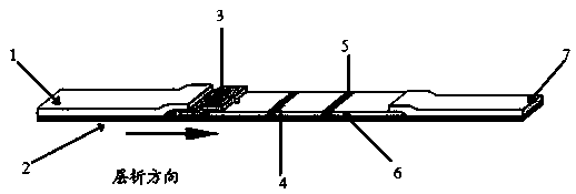 Detection card for rapidly detecting canine distemper virus antigens and preparation method of detection card