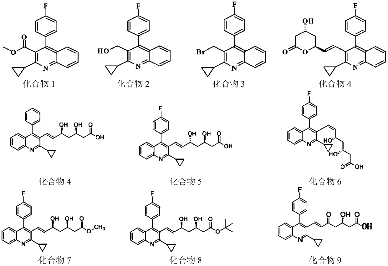 Synergistic system of plant extracts with antibacterial activity