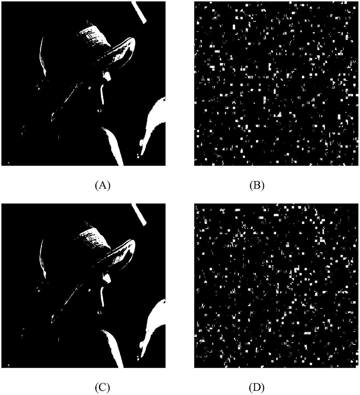 JPEG image encryption method based on similar coefficient scrambling