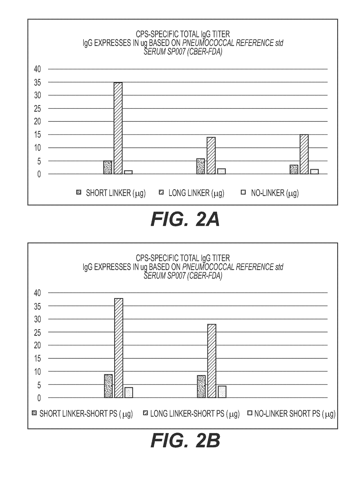 Multivalent Conjugate Vaccines with Bivalent or Multivalent Conjugate Polysaccharides that Provide Improved Immunogenicity and Avidity