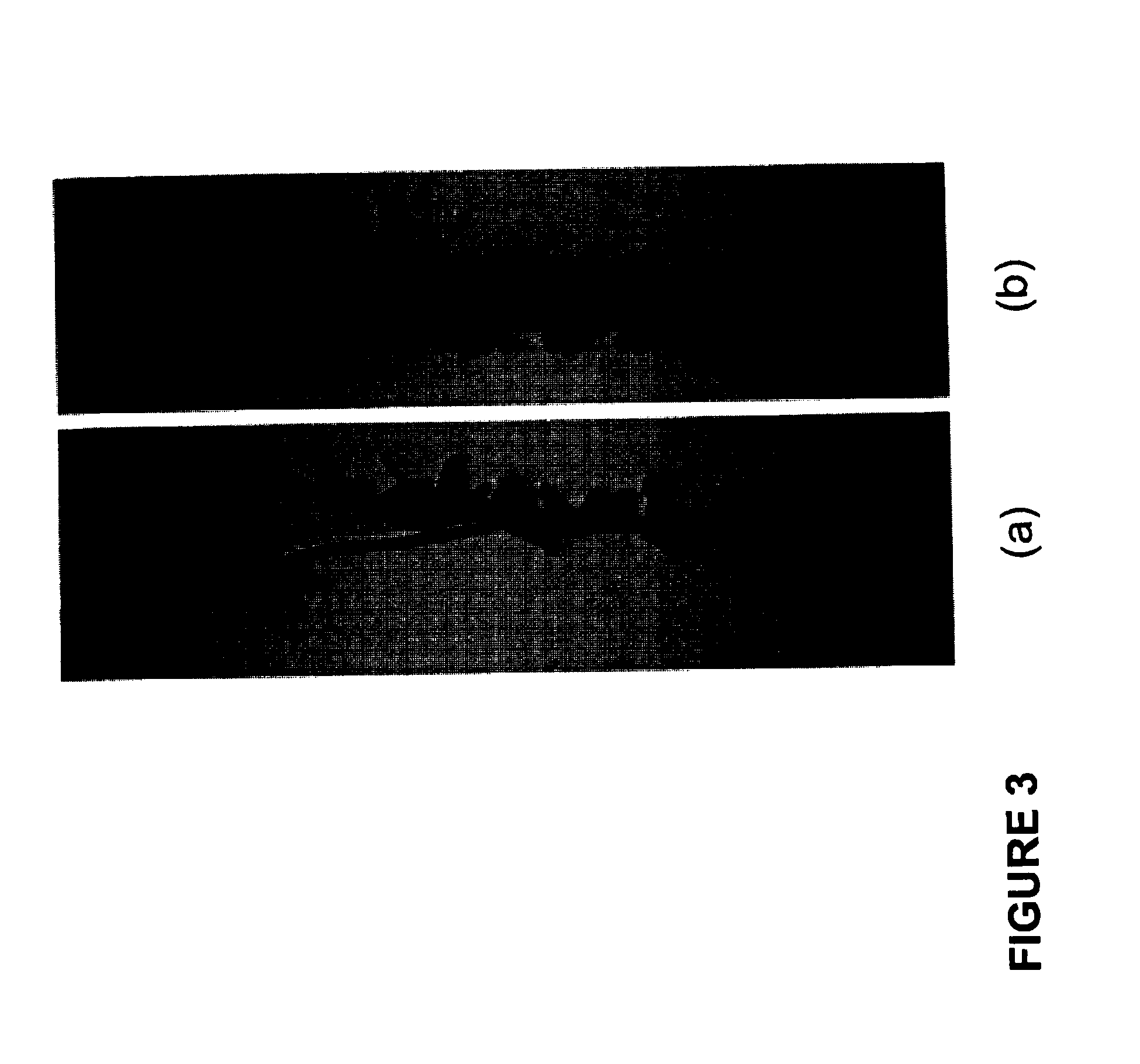 Plant Growth Enhancing Mixture and Method of Applying Same