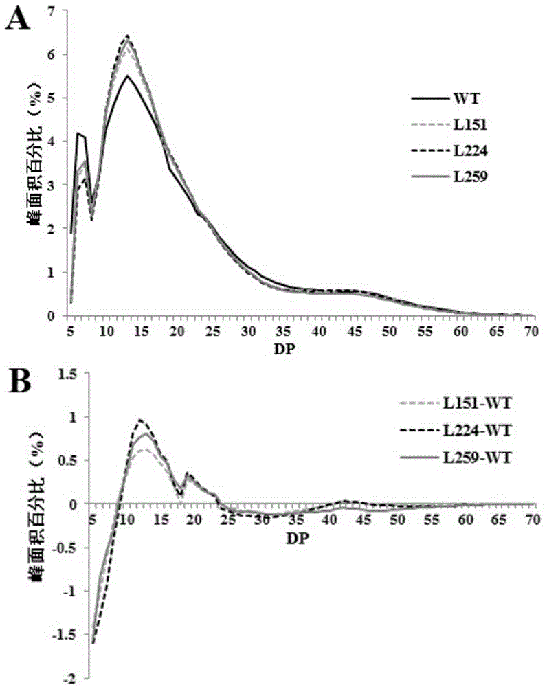 Plant starch synthesis associated protein IbAATP and encoding gene and application thereof