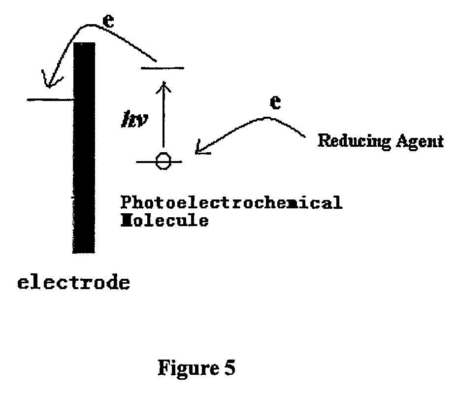 Methods for assaying analytes using photoelectrochemical labels