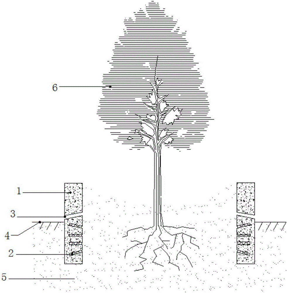 Novel tree pool module and method for constructing tree pool