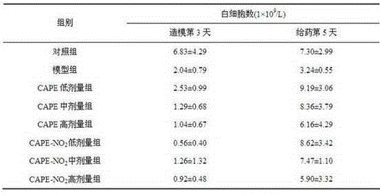 Caffeic acid p-nitrophenyl ethyl ester as well as preparation method and application of caffeic acid p-nitrophenyl ethyl ester