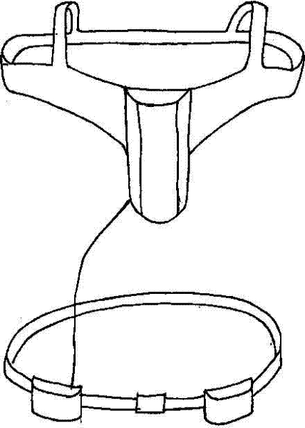 Novel intrusive assisted circulation device