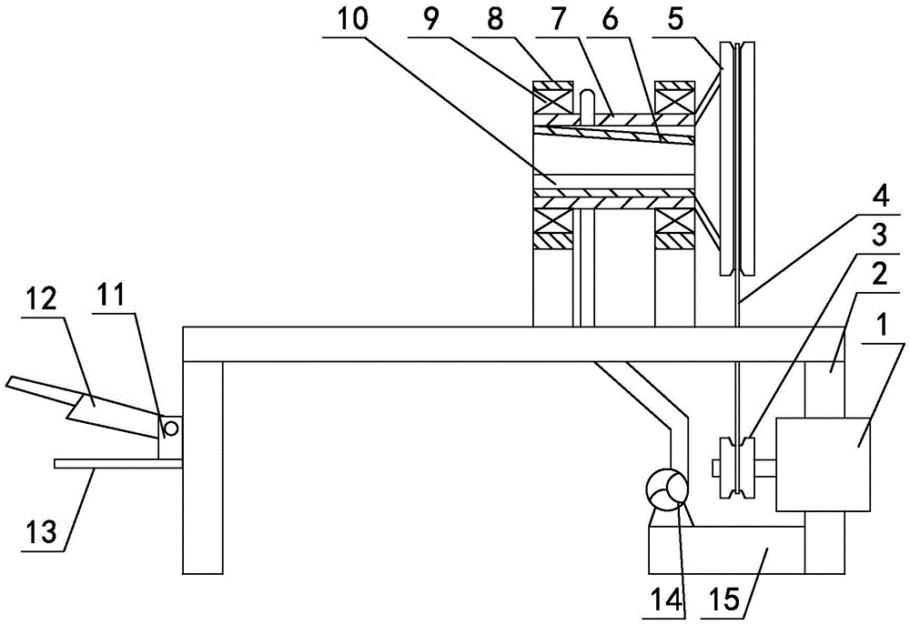 Mechanical sugarcane peeling and washing device with cutting assembly