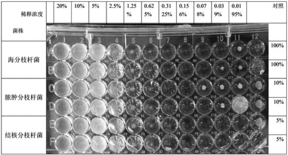 Medicine composite used for treating pulmonary tuberculosis