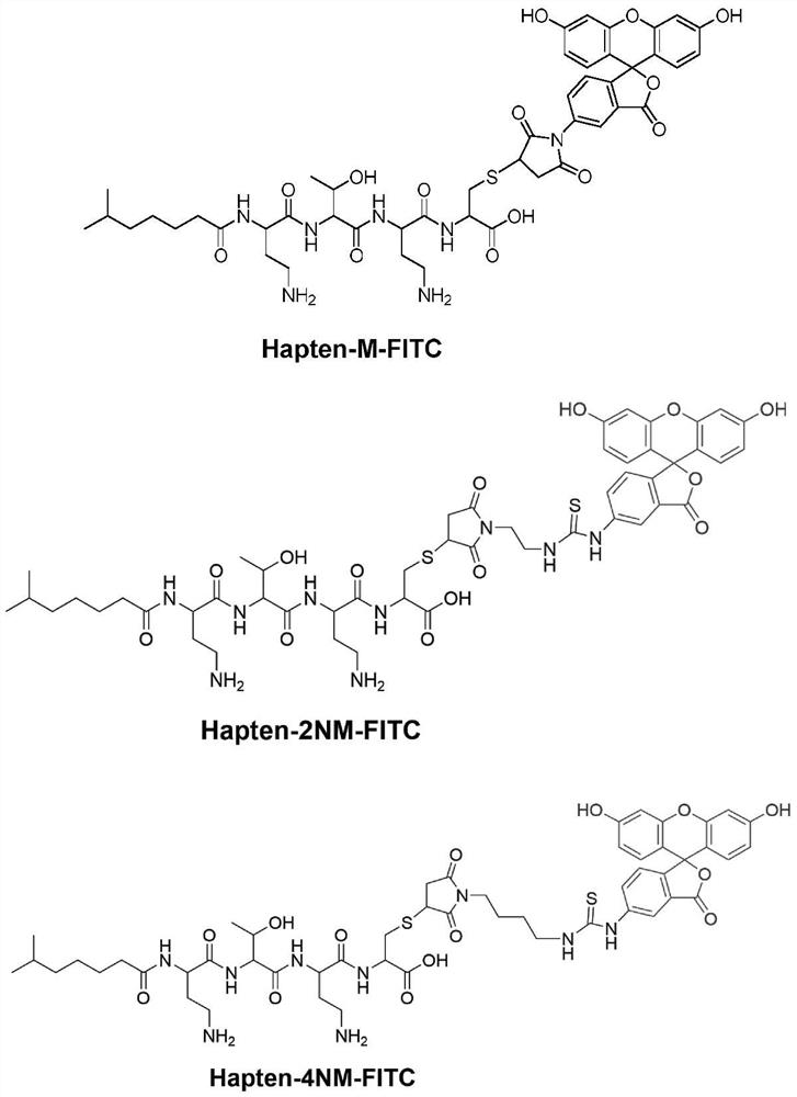 Fluorescence polarization immunoassay method for detecting polymyxin