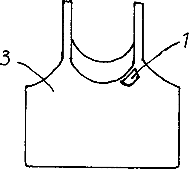 Garment with trade mark