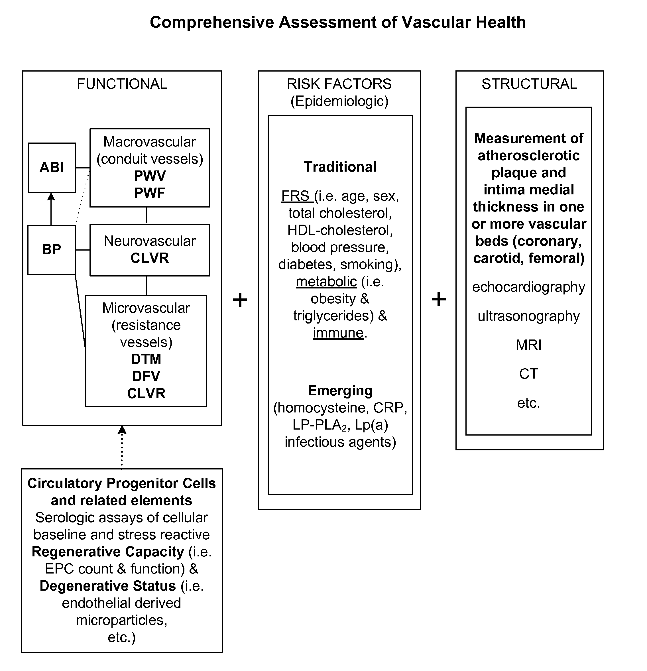 Method and apparatus for comprehensive assessment of vascular health