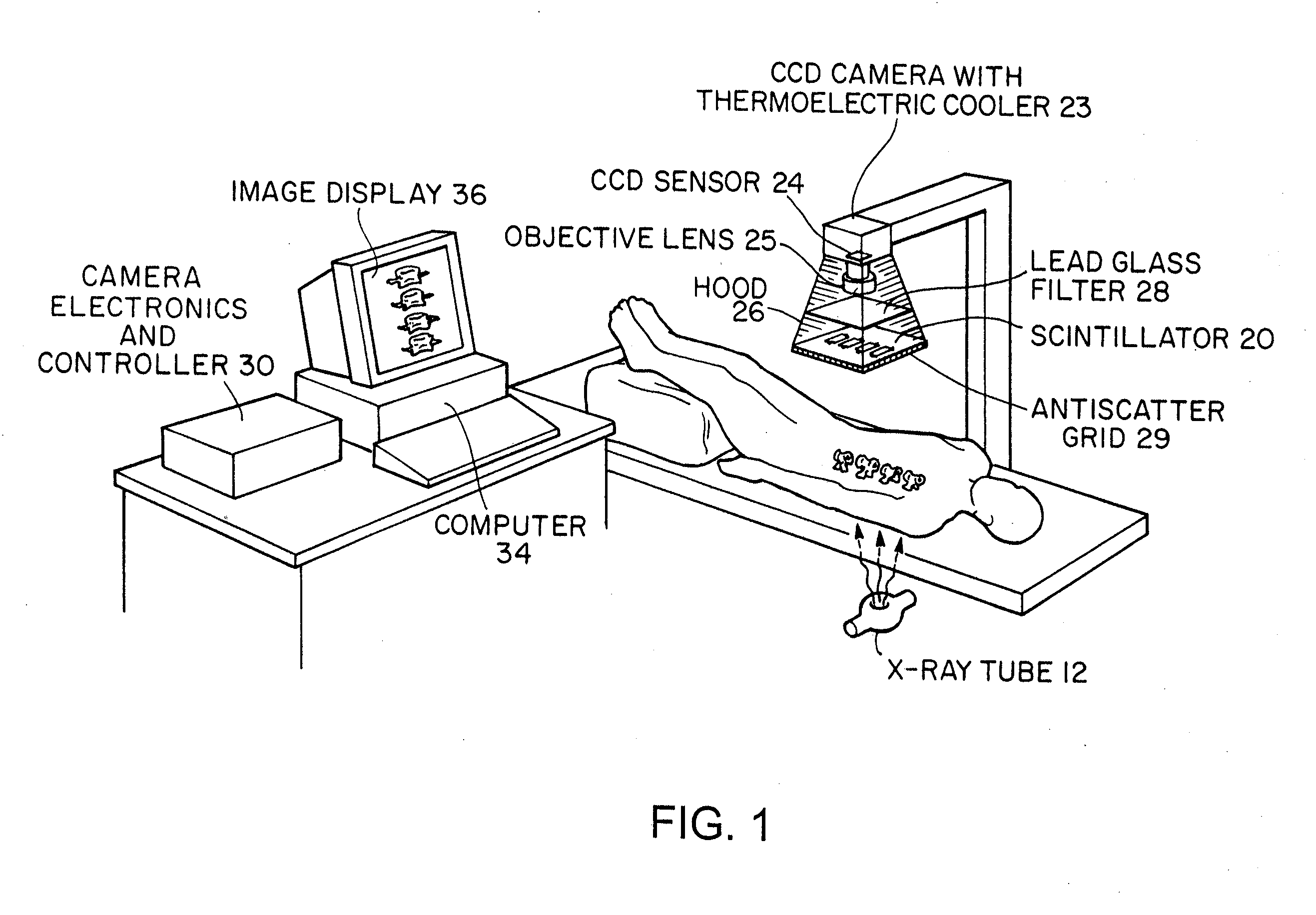 System for quantitative radiographic imaging