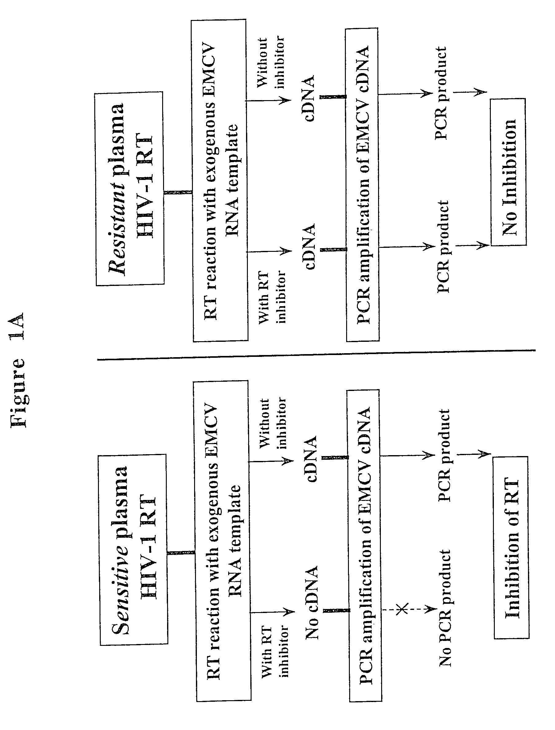 Method and kit for detecting resistance to antiviral drugs