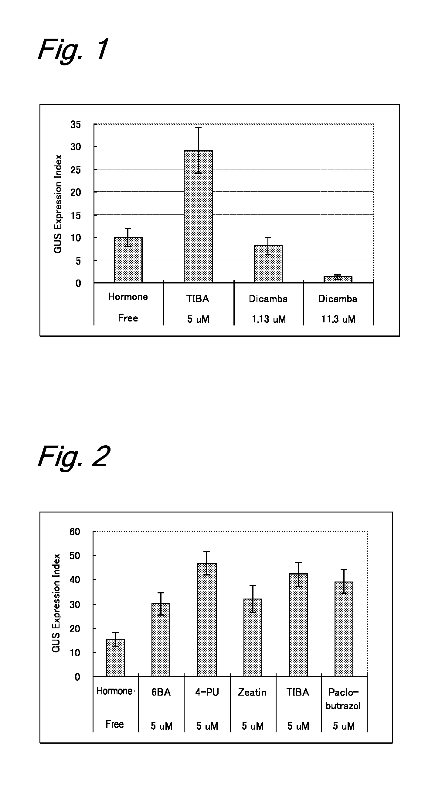 Method for gene introduction into hordeum plant using agrobacterium, and method for production of transformed plant of hordeum plant