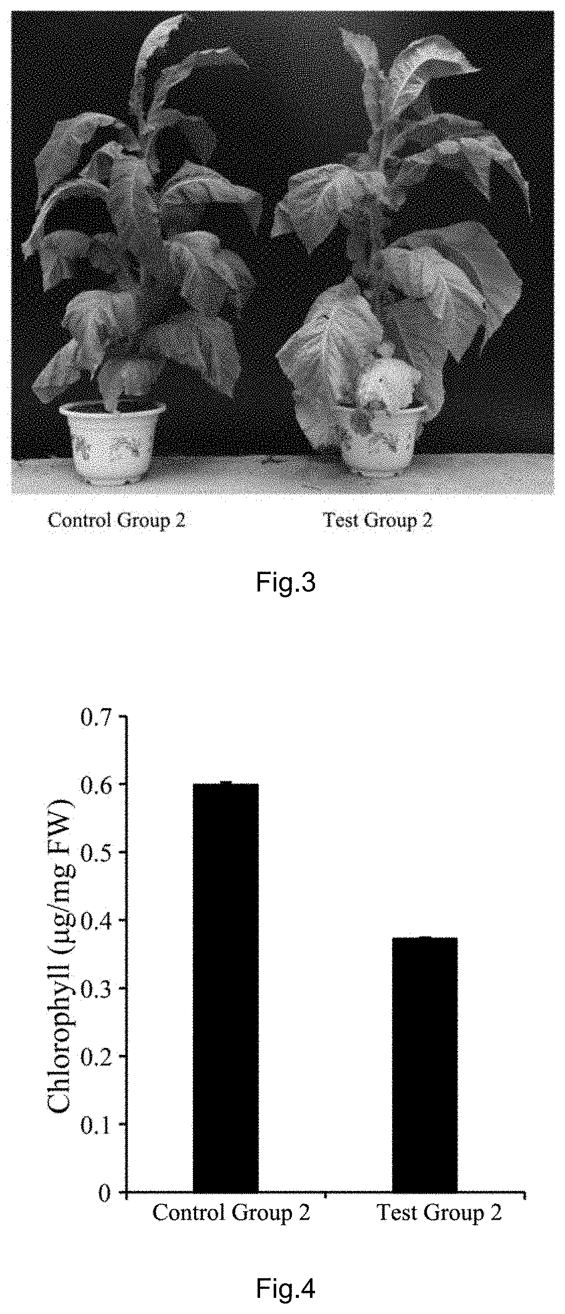 Idl6 mature polypeptide plant aging promoter, and preparation method and application thereof