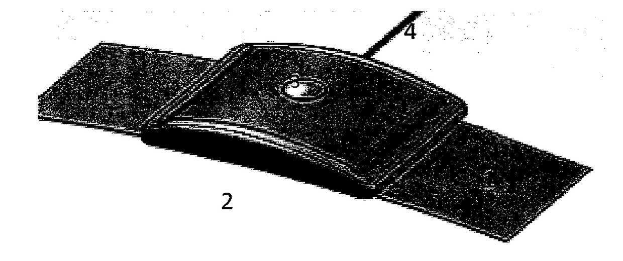 Wearable ultrasound device for signalling changes in a human or animal body