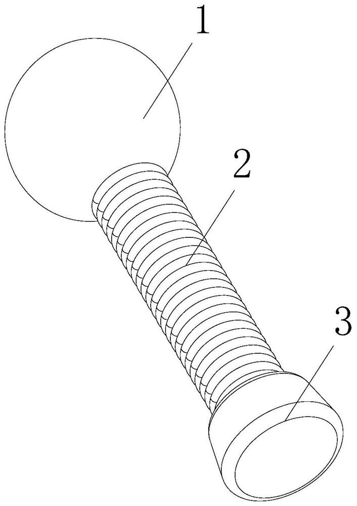 Litsea cubeba traditional Chinese medicine health-care hammer and manufacturing method thereof