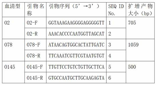 Avian pathogenic Escherichia coli triple PCR (polymerase chain reaction) identification kit and identification method