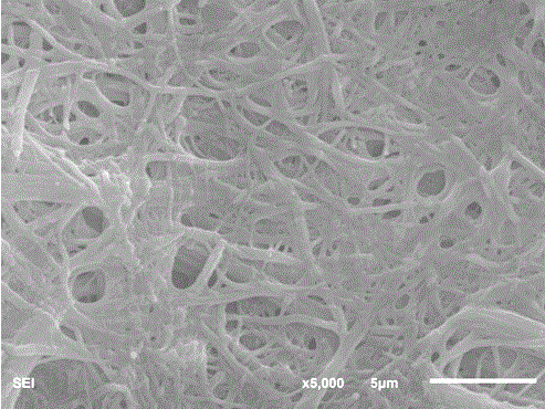 Silk nanofiber manufacturing method