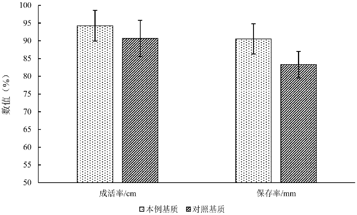 Forest drought-resistant growth-promoting colloidal matrix and application thereof