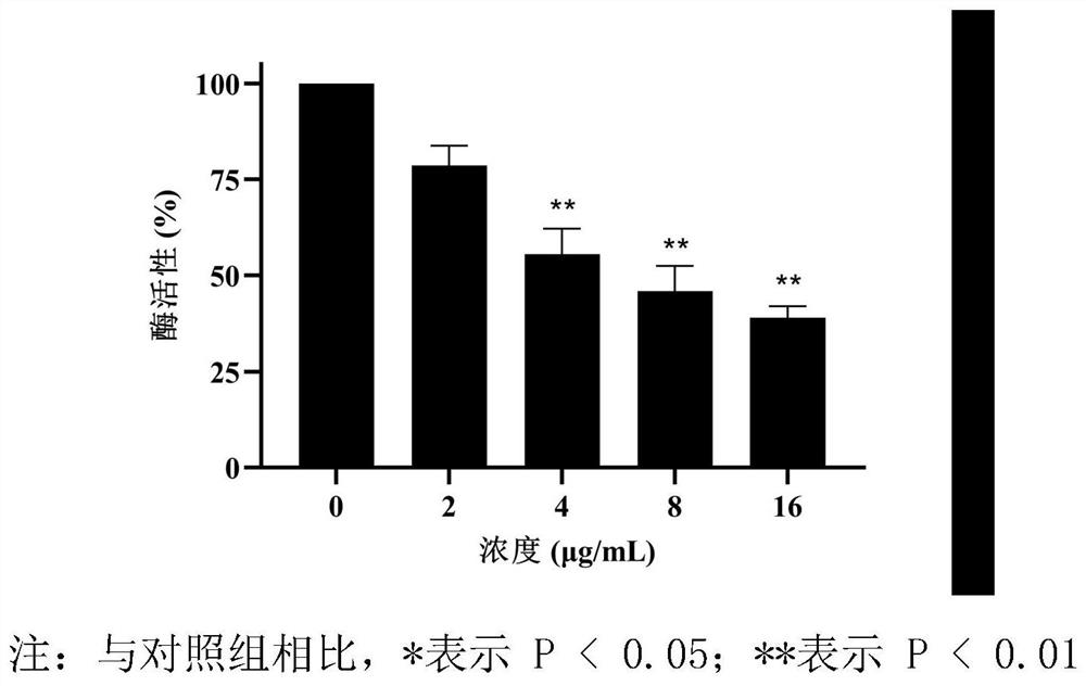 Application of tectorigenin in preparation of Listeria monocytogenes sortase A inhibitor