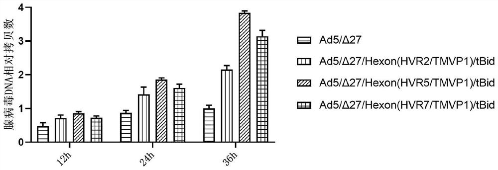 Oncolytic adenovirus recombinant carrying TMVP1 and tBid as well as construction method and application of oncolytic adenovirus recombinant