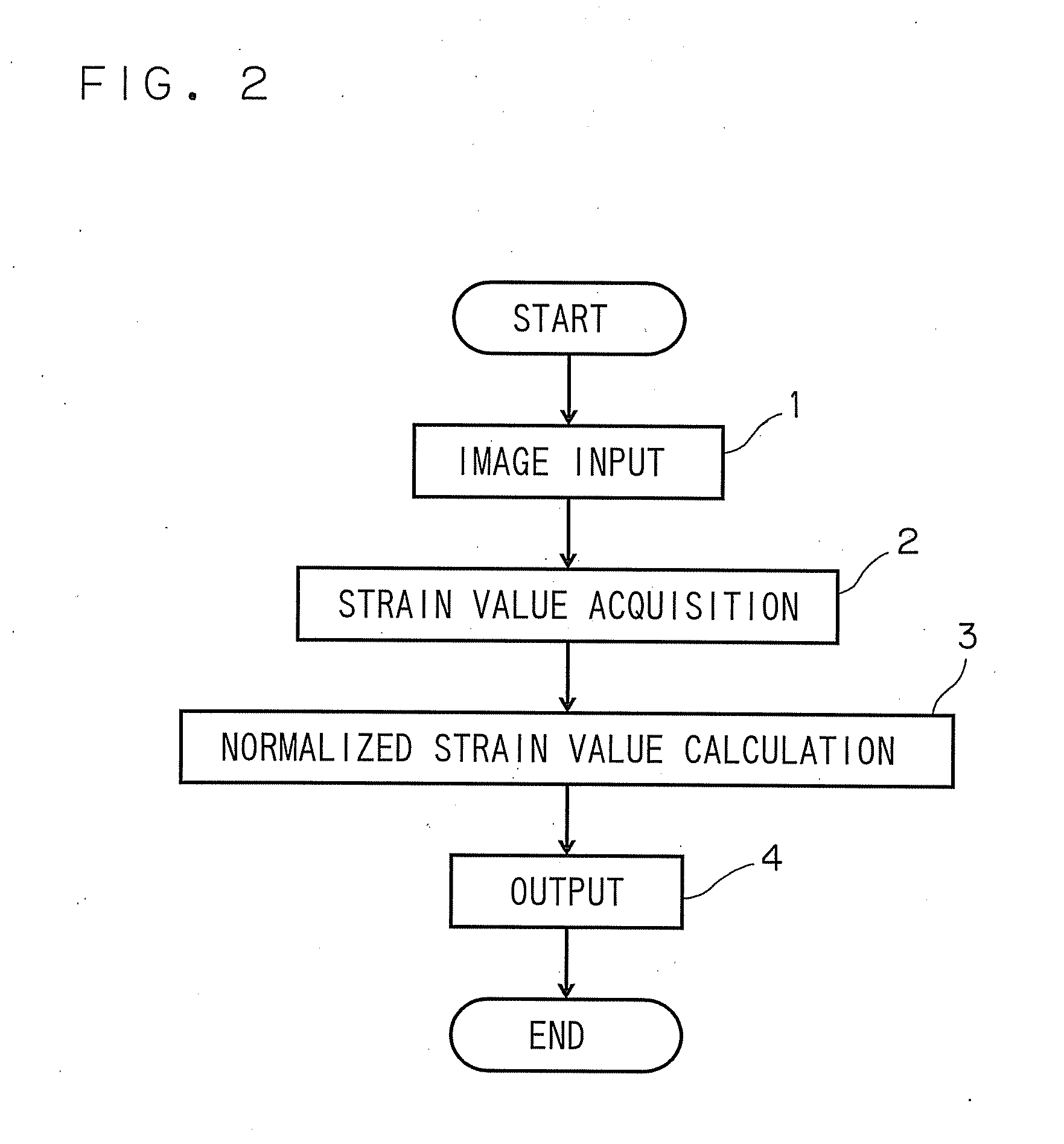 Apparatus and method of heart function analysis